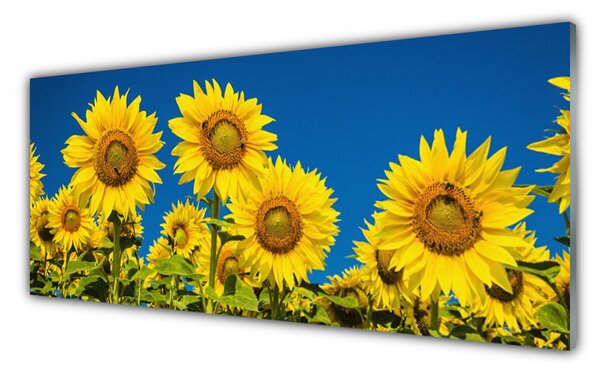 Panou sticla bucatarie Floarea soarelui Floral Galben Verde
