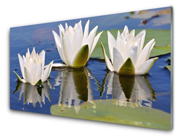 Panou sticla bucatarie Flori Floral Alb Verde