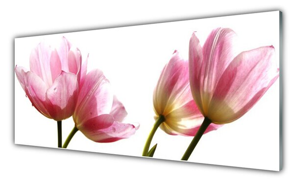 Panou sticla bucatarie Flori Floral Beige Verde
