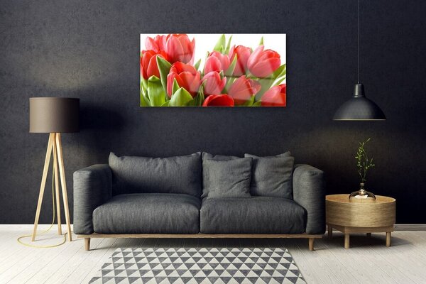 Tablou pe sticla Lalele Floral Roșu Verde
