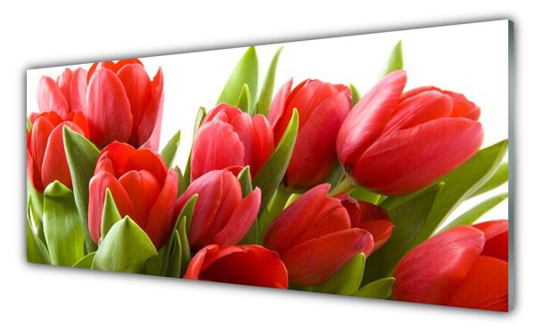 Tablou pe sticla Lalele Floral Roșu Verde