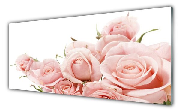 Tablou pe sticla Trandafiri Floral Bej Alb