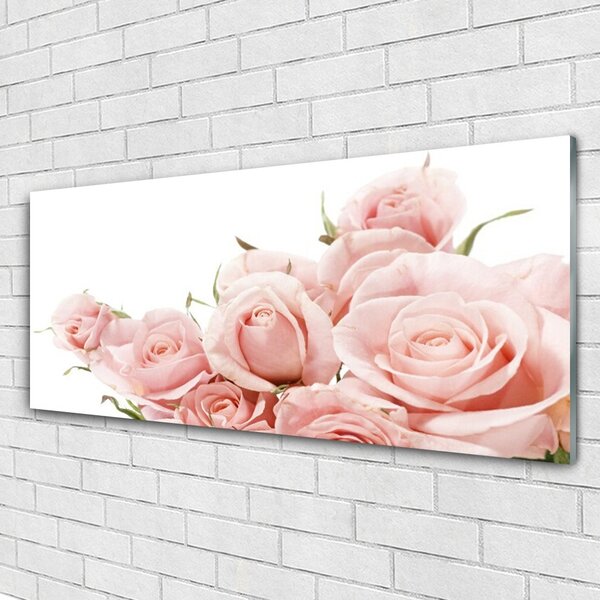 Tablou pe sticla Trandafiri Floral Bej Alb