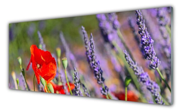Tablou pe sticla Flori Floral Roșu Violet Verde
