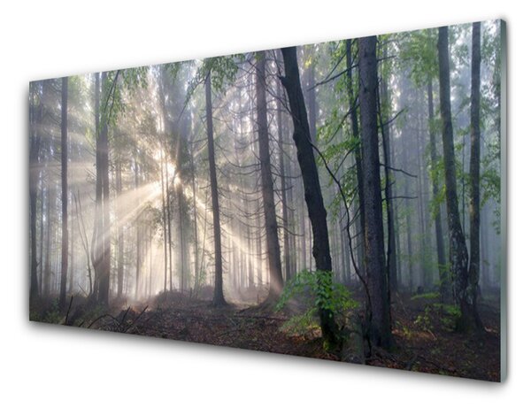 Panou sticla bucatarie Natural Pădurea Verde Maro