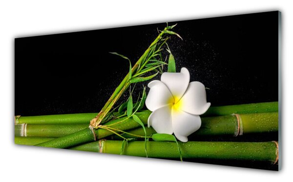 Tablou pe sticla Bamboo flori Floral Alb Verde