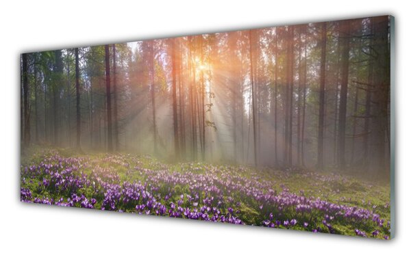 Tablou pe sticla Pădure Flori Natura Roz Verde Maro
