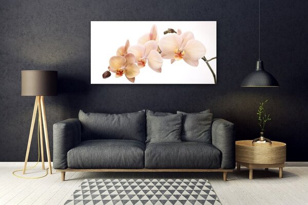 Tablou pe sticla Flori Floral Alb Brun