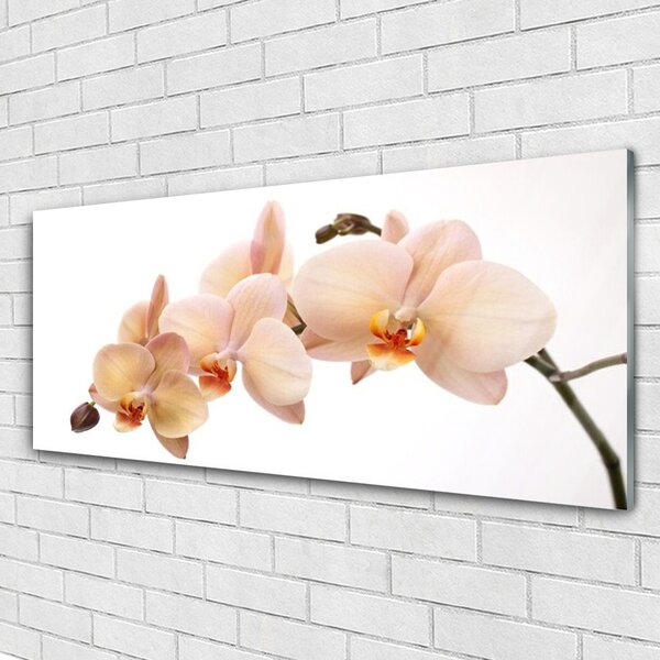 Tablou pe sticla Flori Floral Alb Brun