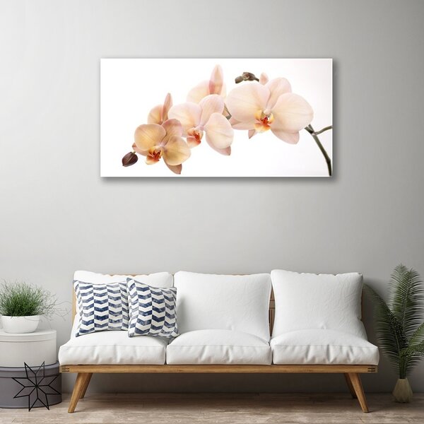 Tablou pe sticla Flori Floral Alb Brun