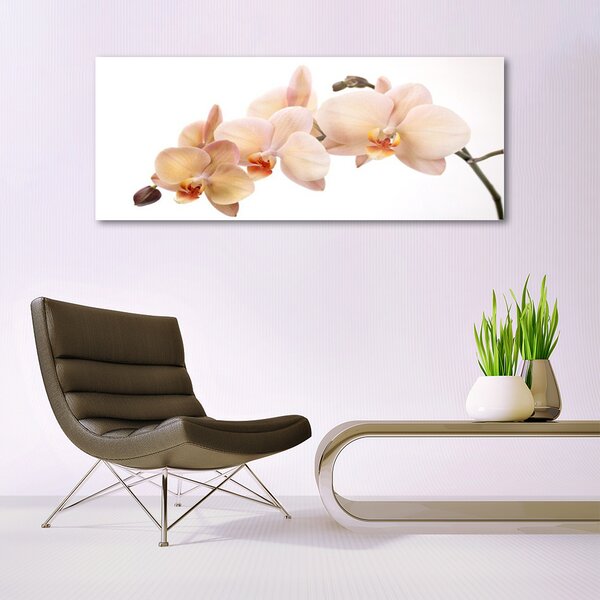 Tablou pe sticla Flori Floral Alb Brun