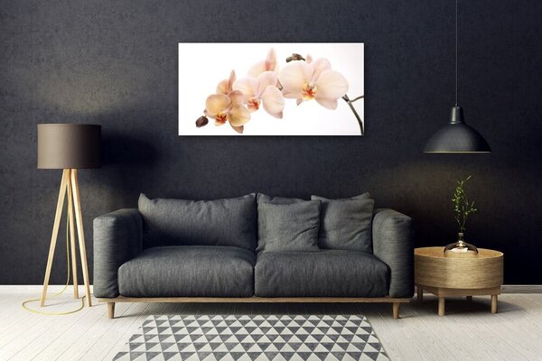 Tablou pe sticla Flori Floral Alb Brun