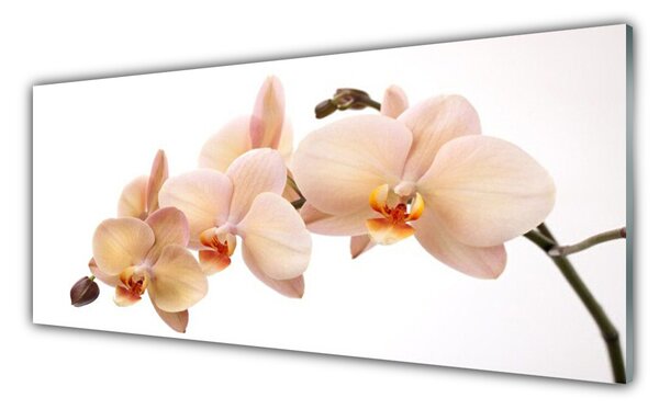 Tablou pe sticla Flori Floral Alb Brun
