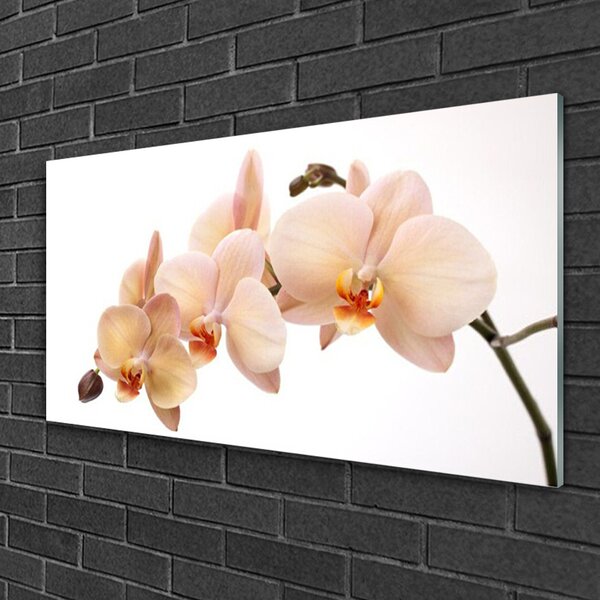 Tablou pe sticla Flori Floral Alb Brun