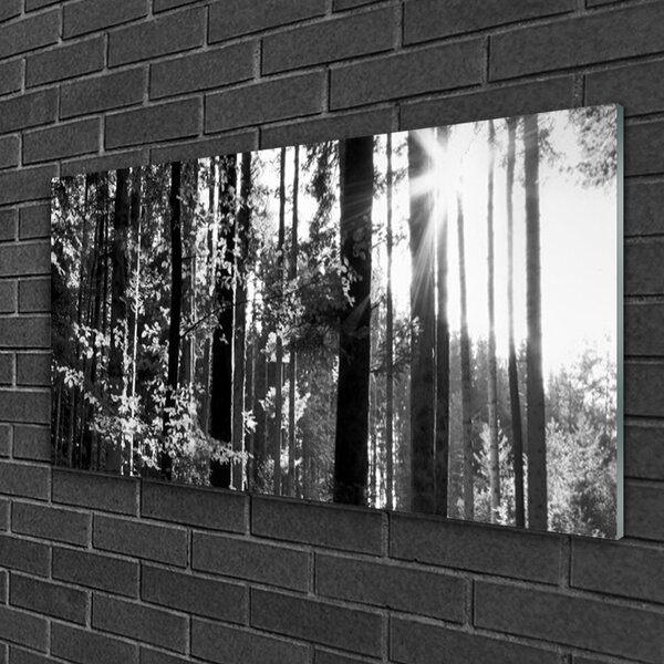 Tablou pe sticla Forest Nature Gray