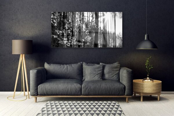 Tablou pe sticla Forest Nature Gray