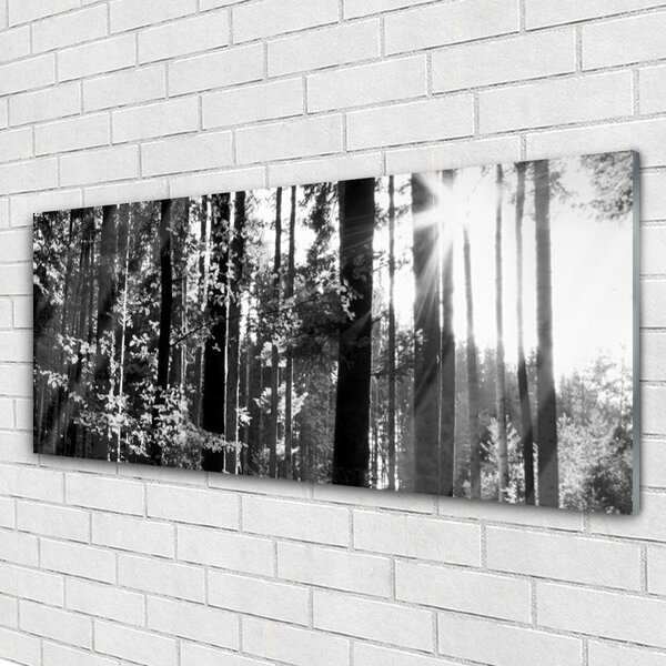 Tablou pe sticla Forest Nature Gray