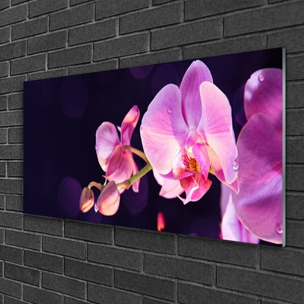 Tablou pe sticla Flori Floral Roz Violet