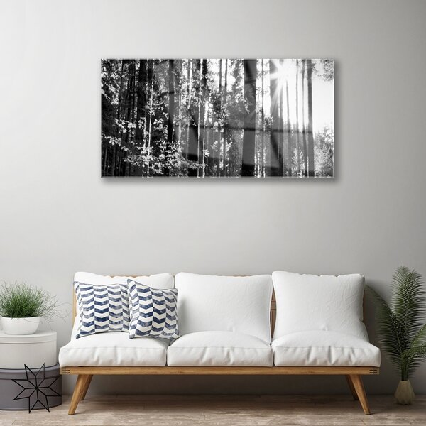 Tablou pe sticla Forest Nature Gray