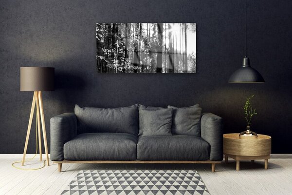 Tablou pe sticla Forest Nature Gray