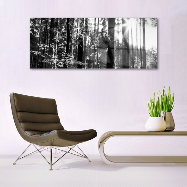 Tablou pe sticla Forest Nature Gray