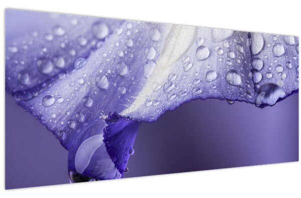 Tablou - Petală cu picături (120x50 cm)