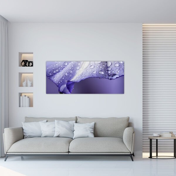 Tablou - Petală cu picături (120x50 cm)