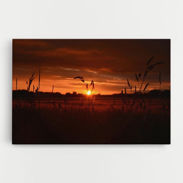 Tablou Canvas, 20x30cm, Dormitor si Living, Peisaje, Apus de soare, Field Shilouette