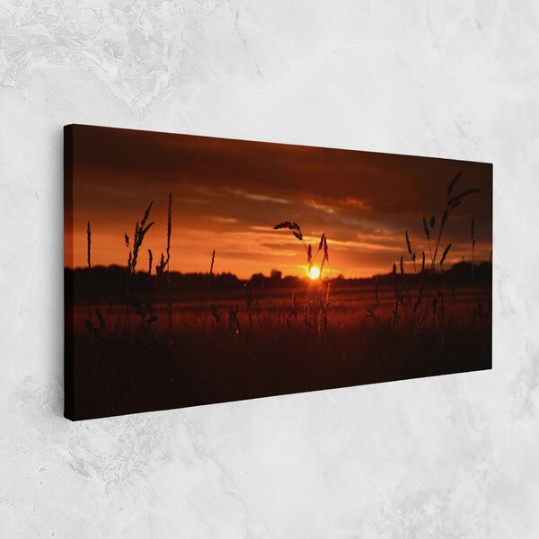 Tablou Canvas, 40x80cm, Dormitor si Living, Peisaje, Apus de soare, Field Shilouette