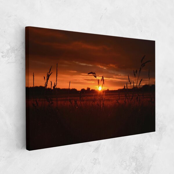 Tablou Canvas, 20x30cm, Dormitor si Living, Peisaje, Apus de soare, Field Shilouette