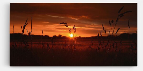 Tablou Canvas, 40x80cm, Dormitor si Living, Peisaje, Apus de soare, Field Shilouette