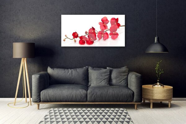 Tablou pe sticla Flori Floral Roșu