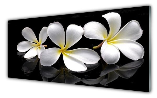 Tablou pe sticla Flori Floral Alb Negru