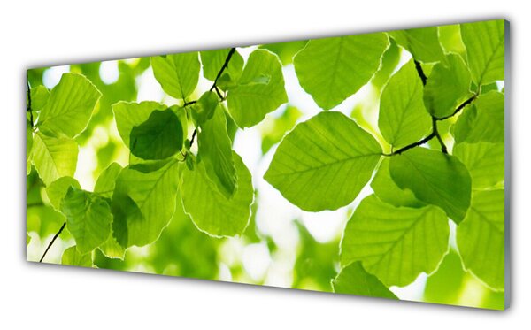 Panou sticla bucatarie Frunze verde florale