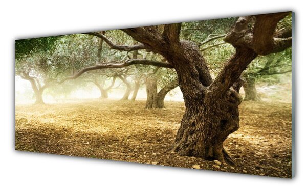 Tablou pe sticla Copaci Iarbă Natura Verde Maro