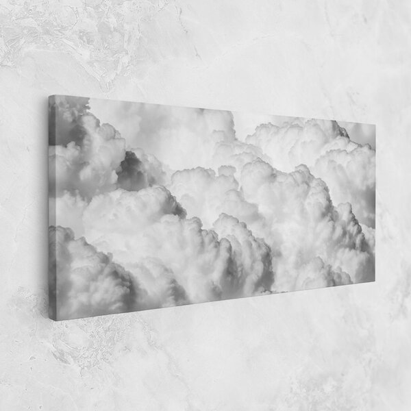 Tablou Canvas, 40x80cm, Dormitor si Living, Peisaje, Nori, Grey Cloudy Sky