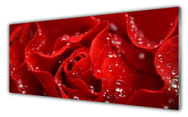 Tablou pe sticla Rose Floral Orange