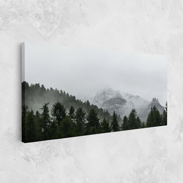 Tablou Canvas, 40x80cm, Dormitor si Living, Peisaje, Paduri, Foggy Mountain Forest
