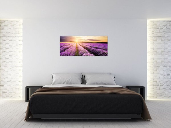 Tablou - Răsărit de soare în câmp de lavandă (120x50 cm)