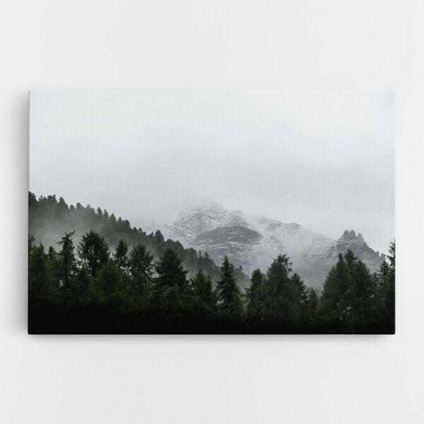 Tablou Canvas, 20x30cm, Dormitor si Living, Peisaje, Paduri, Foggy Mountain Forest