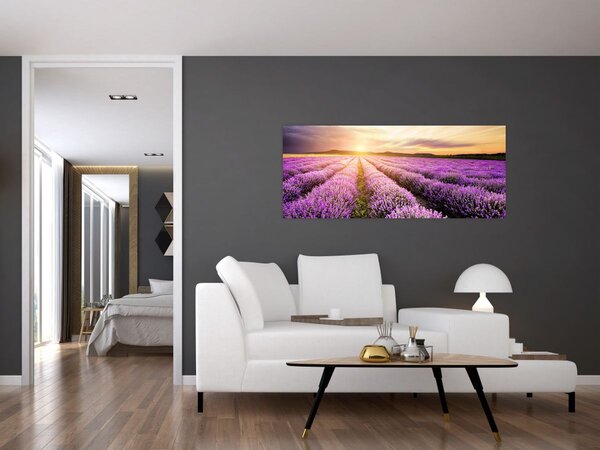 Tablou - Răsărit de soare în câmp de lavandă (120x50 cm)