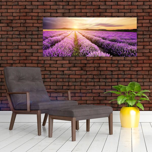 Tablou - Răsărit de soare în câmp de lavandă (120x50 cm)