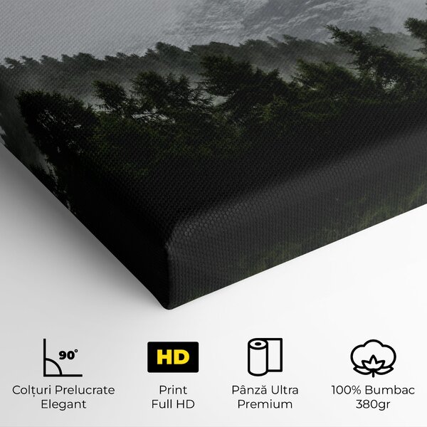 Tablou Canvas, 20x30cm, Dormitor si Living, Peisaje, Paduri, Foggy Mountain Forest