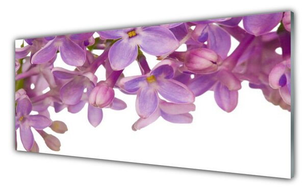 Tablou pe sticla Flori roz Floral