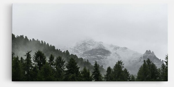 Tablou Canvas, 40x80cm, Dormitor si Living, Peisaje, Paduri, Foggy Mountain Forest