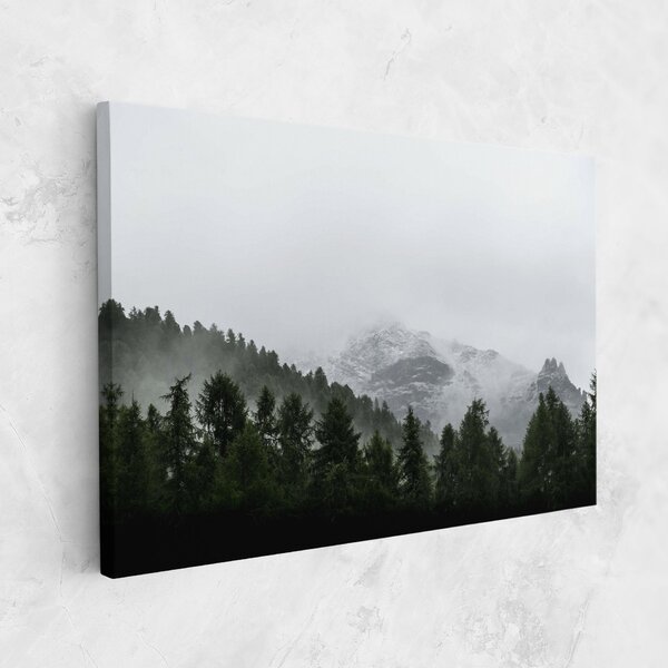 Tablou Canvas, 20x30cm, Dormitor si Living, Peisaje, Paduri, Foggy Mountain Forest