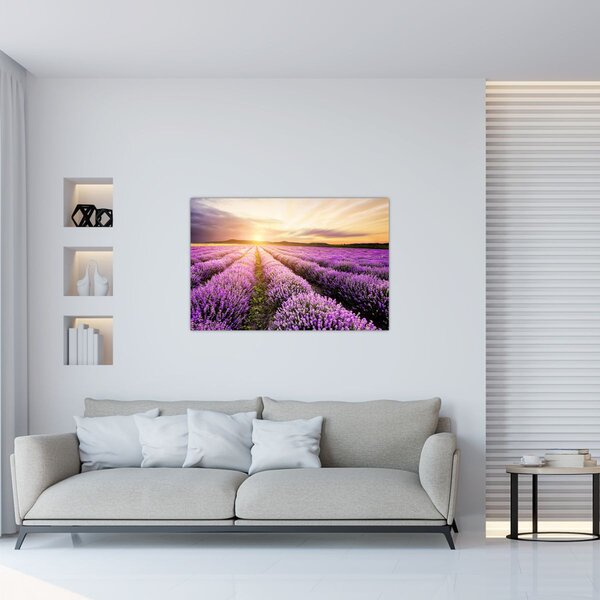 Tablou - Răsărit de soare în câmp de lavandă (90x60 cm)