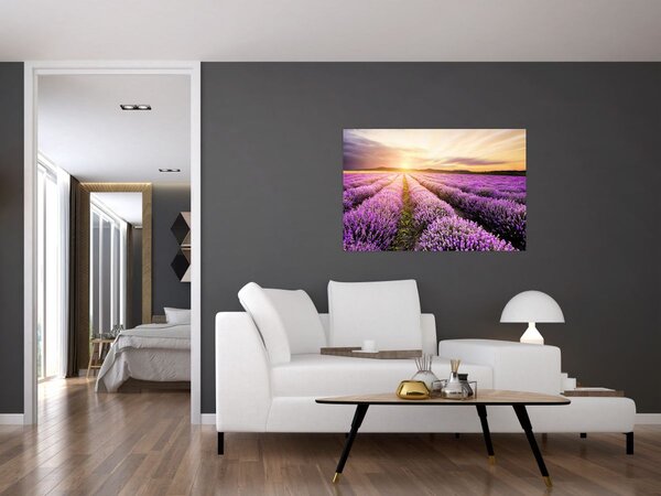 Tablou - Răsărit de soare în câmp de lavandă (90x60 cm)