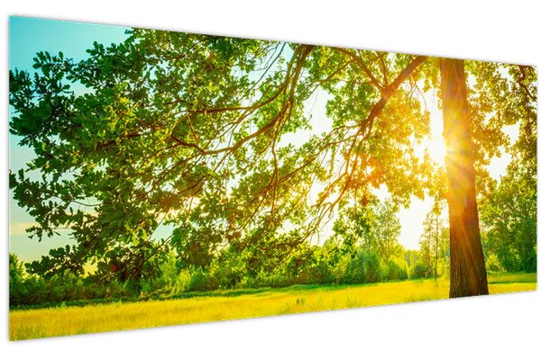 Tablou - Pădurea însorită (120x50 cm)