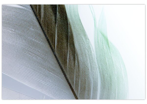 Tablou - Pene, macro (90x60 cm)